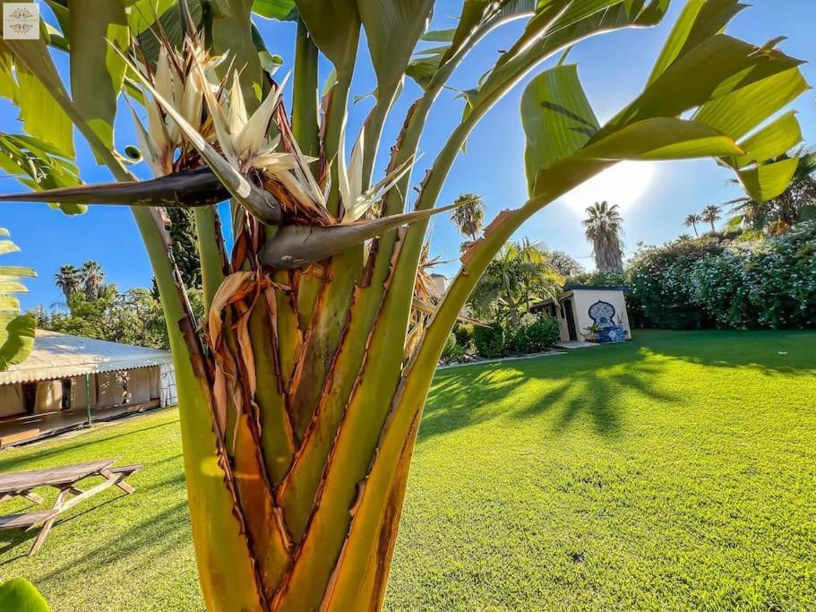 Finca Tierra Sana Estepona Exterior photo